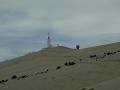 cliquez ici pour voir l'image (ventoux20.jpg)