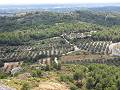 cliquez ici pour voir l'image (baux11.jpg)